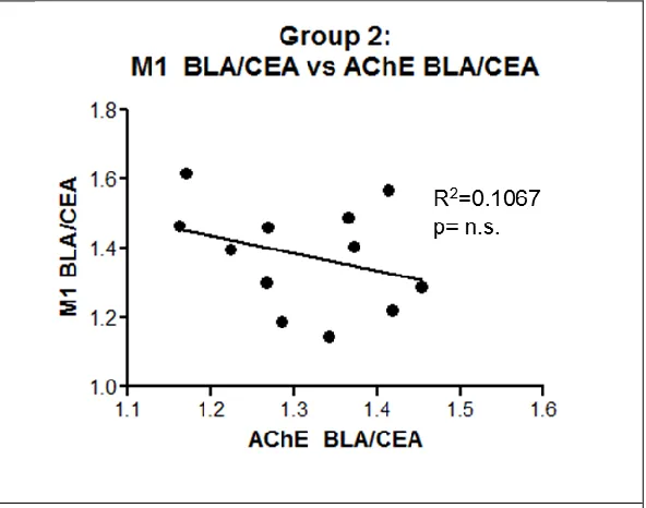 Figure 3.6: Correlation- M1 mAChR vs AChE Protein Expression Levels. No significant correlation exists between BLA M1 mAChR expression and BLA AChE expression