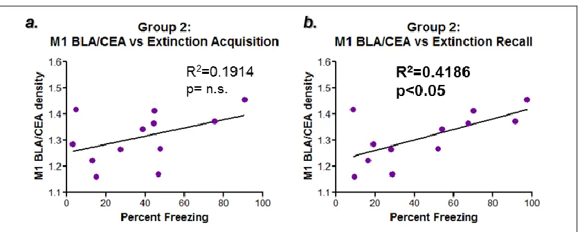 Figure 3.8: Correlation- M1 mAChR expression levels vs the extinction  learning processes