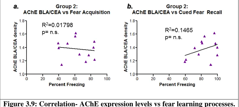 Figure 3.9: Correlation- AChE expression levels vs fear learning processes. Figures 3.9.a and b examine the correlation between AChE expression levels and different aspects of the fear learning process, including fear acquisition, a, measured by the averag
