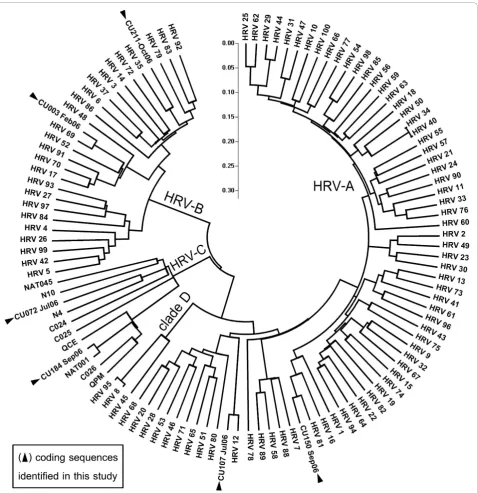 Figure 1 Phylogenetic analysis illustrating genetic relationships between HRV species based on sequence alignment of 6 completecoding sequences amplified from our study (black triangle) compared with all known HRV prototypes