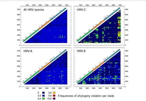 Figure 4 Phylogenetic compatibility matrices of HRV species A, B, and C. Multiple sequence alignments of all known HRV prototypesincluding 6 identified sequences derived from our study were individually performed using TreeOrderScan program (Simmonds andSm