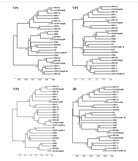 Figure 5 Phylogenetic analysis based on deduced amino acid sequences of VP1-3 and 3D viral proteins of 6 identified strainscompared with previously published prototypes