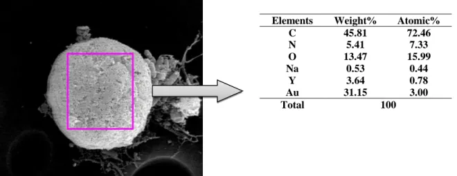 Fig. 2. Example of data acquisition on the surface of the cervical samples 