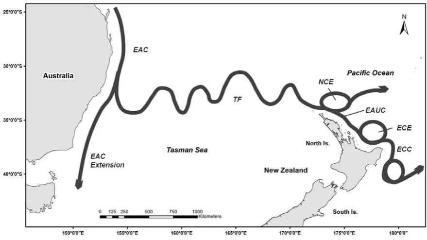Figure 2. Generalised diagram of the main sea surface currents and associated (EAUC), East Cape Eddy (ECE), and East Cape Current (ECC) (modified from Tilburg et al