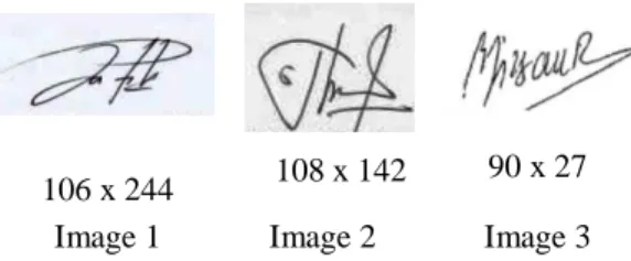 Fig. 1. Results Scanned of Original Signature Size (Pixel)  3.1. Preprocessing 