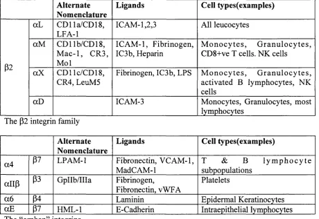 Table 1.1: Human integrin dimers divided by subunit composition showing typical ligands and cells on which they are expressed.