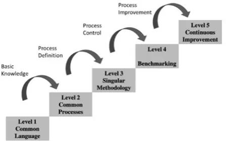 Figure 5. MMGP Maturity Model