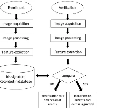 Figure 1. Iris recognition system  Figure 2. Typical stages of iris recognition 