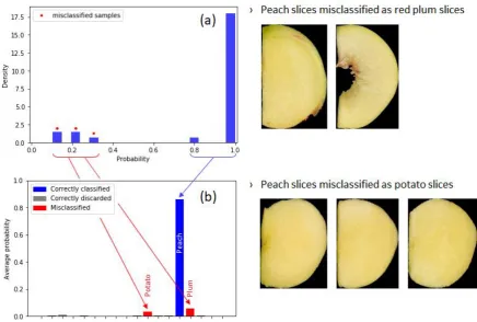 Fig. 3. Density histogram of the prediction probability for peach slices (a) and average prediction probabilities computed during peach slices recognition (b)