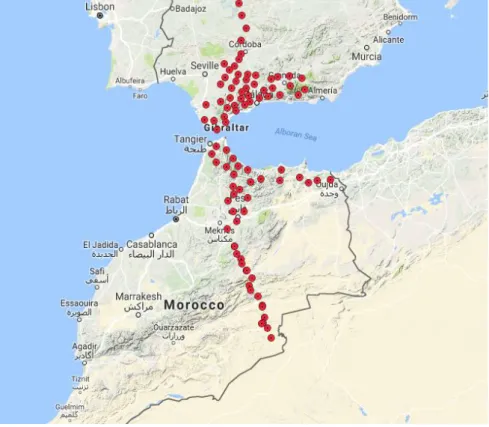 Figure 4. XB seismic network 