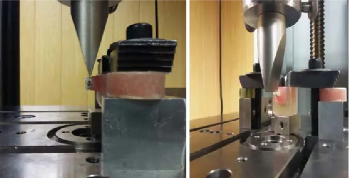 Fig. 3. Prepared samples  