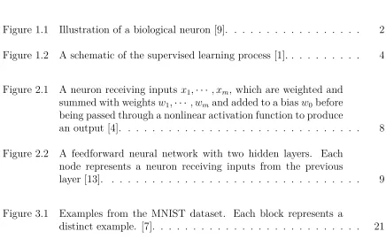 Fig ur e 1 .1