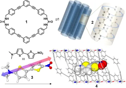 Figure 1.1 Dye uptake in one-dimensional macrocycle channels. Macrocycle 1crystallizes into columnar fibers 2 from DMSO