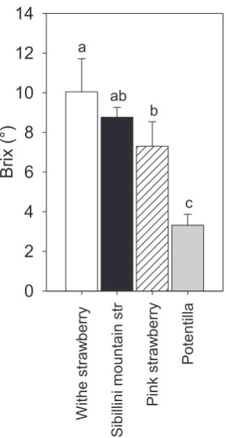 Figure 3. Strawberry fruit Brix °. Data are reported as mean ± standard deviation. Different letters indicate significant differences according to Tukey LSD test (p<0,05)