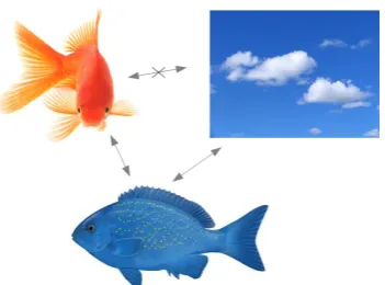 Figure 2.1: E-similarity