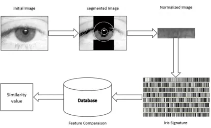 Figure 2. Typical stages of iris recognition 