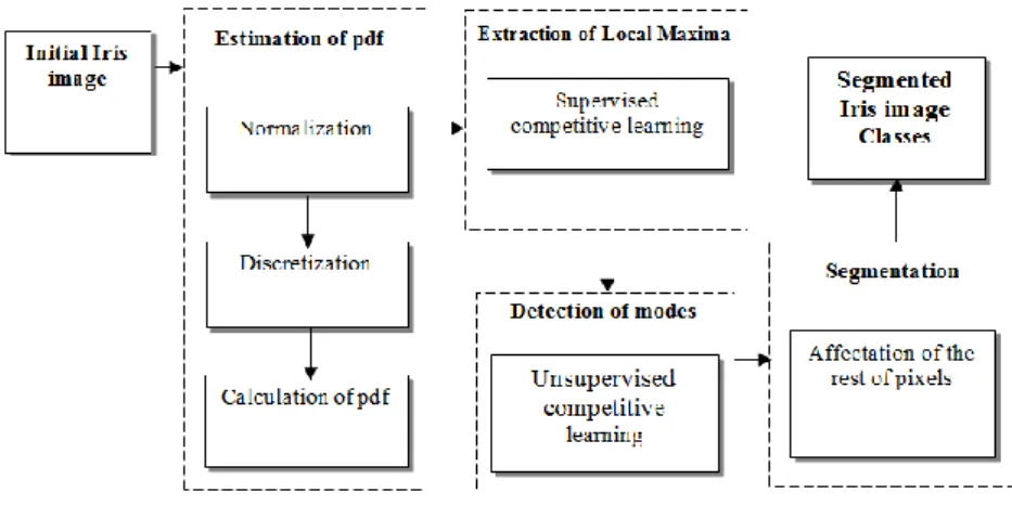 Figure 4. Architecture of the segmentation procedure 