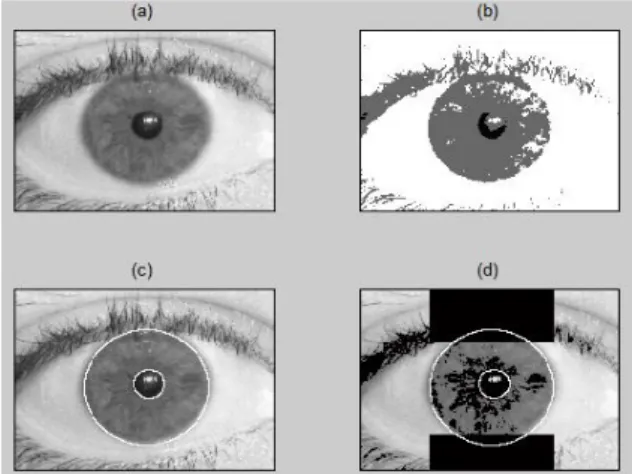 Figure 6. Examples of the segmented iris, (a) Real images, (b) Detection of iris regions,   (c) segmented images from UBIRIS, (d) Noise detection and removal using linear Hough transform 