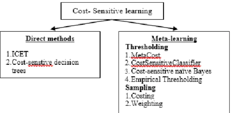 Figure 1. Structure of cost sensitive learning 