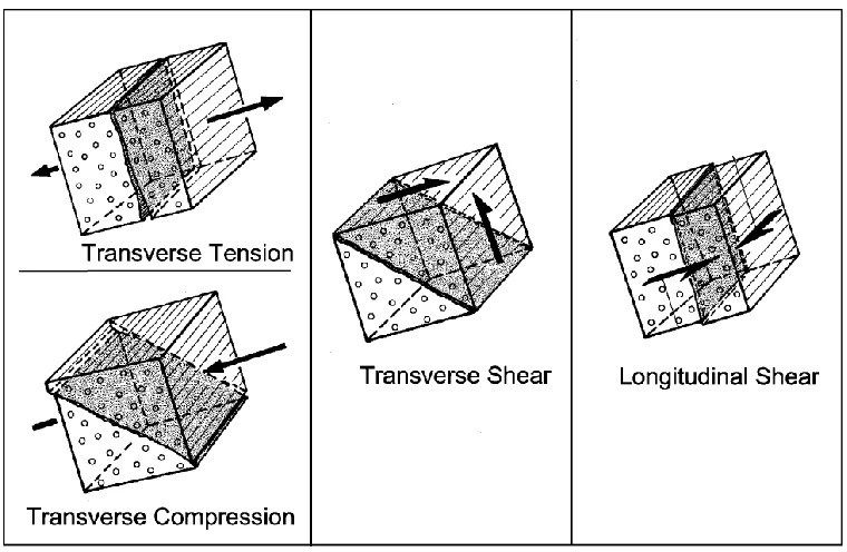 Figure 3.3 Different forms of Inter Fiber Fracture (IFF) 