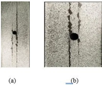 Figure  4.6 Image taken after failure of 0-degree specimen (b) close-up of specimen. 