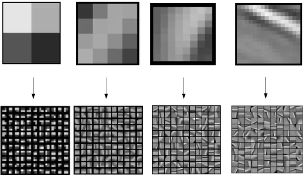 Figure 4. Top row from the left to the right 2x2 , 4x4, 8x8, 16x16 codewords corresponding to their respective bottom row 121 codewords dictionaries