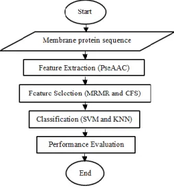 Figure 1. Research methodology 