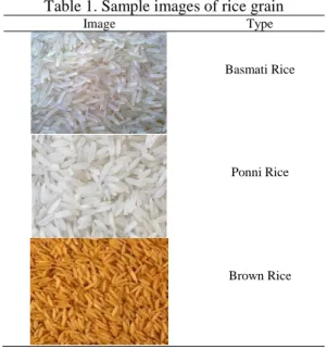 Table 1. Sample images of rice grain 