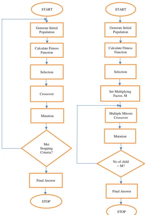 Figure 1. Simple Genetic Algorithm  Figure 2. Multiple Mitosis Genetic Algorithm 