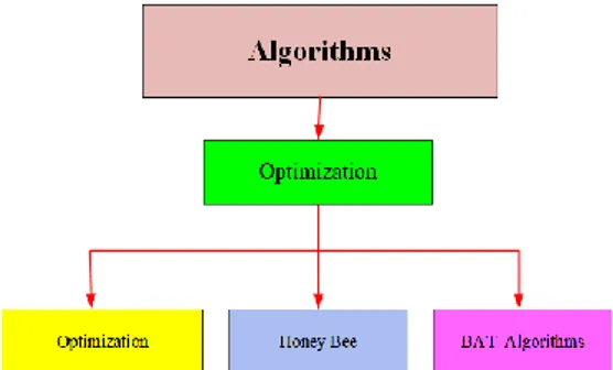 Figure 1. Classification of the algorithm 