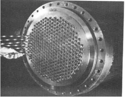 Fig. 1.2 Twisted-tape geometry 
