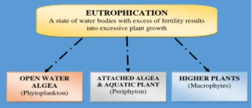 Figure 1. Type of Plant Growth in Eutrophication