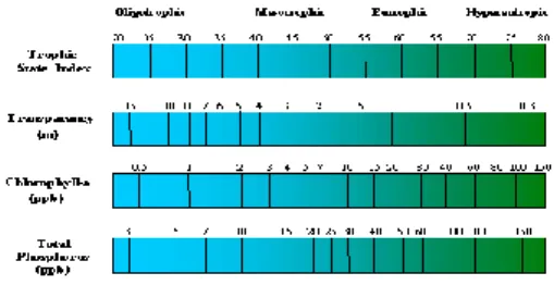 Figure 2. Graphical representation of TSI, Transparency, Chlorophyll-a and Total Phosphate values and  associated eutrophication level (http://www.lakeaccess.org/lakedata/datainfotsi.html) 