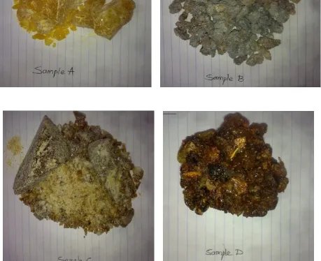 Figure 1 (A, B, C & D): Marketed samples of benzoin 