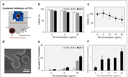 Figure  1a illustrates the overall experimental design of the present study. We first determined the optimal CB concentration and treatment time which could promote cells to release large number of vesicles, while having minimal cytotoxic effect