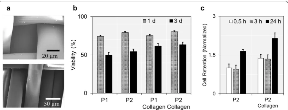 Fig. 2 The fabric filters for the multi‑modal screening of CTCs: this study. The images were obtained using SEM