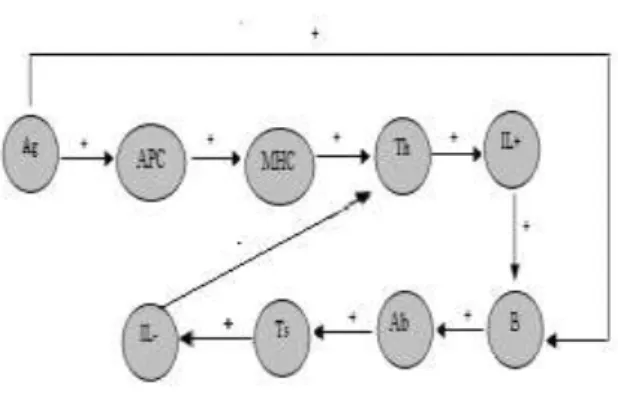 Figure 2. Our Complex adaptive artificial immune system (CAAIS) modeled in the background of the  LFCM