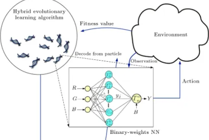 Figure 1. Evolving connection weights in a binary-weights neural network.