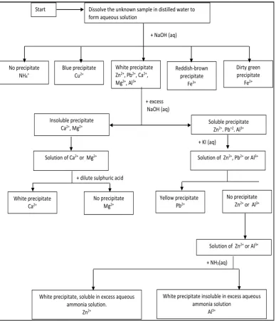 Figure 1. Example of experiment procedure flow chart to identify cations. 