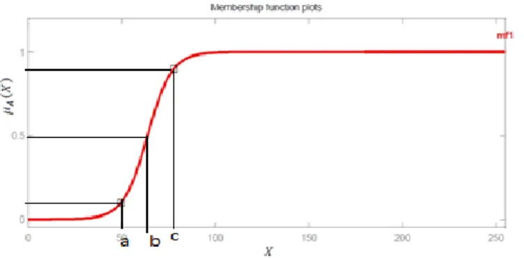 Figure 1. Typical Shape of S– Membership Function 