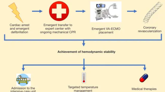 Figure 2 The MRC protocol. The MRC protocol initially focuses on high-quality mechanical CPR and transfer to an expert center for  rapid achievement of hemodynamic support by placing percutaneous VA-ECMO