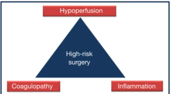 Figure 1 The “3 deadly pillars” of life-threatening complications  during high risk surgery