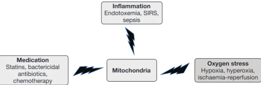 Figure 1 Hits on mitochondria. Different hits on mitochondria which might be present for a patient.
