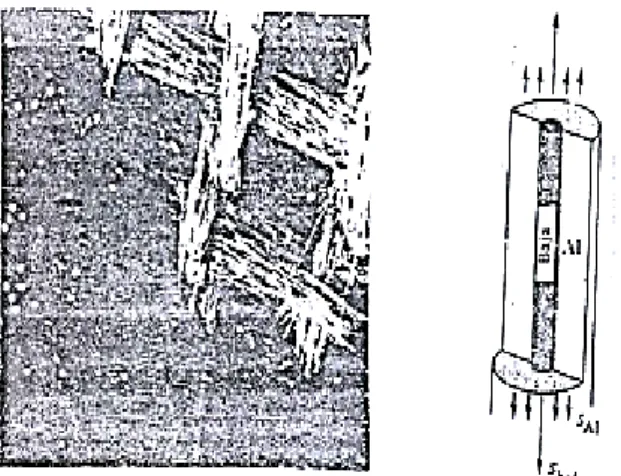Fig. 2. Wet Lamination Process [3] 
