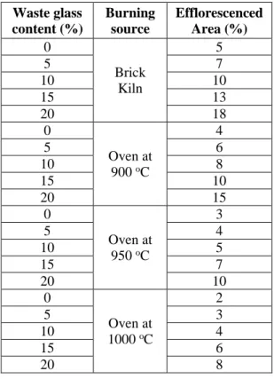 Figure  15:  Efflorescence  observed  on  brick  specimens after 45 days 