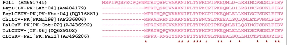 Table 1 Features of the begomovirus isolated from Capsicum annum
