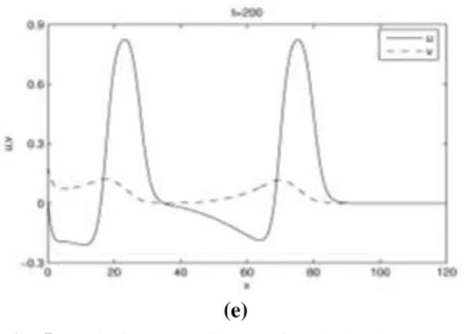Fig. 5:  Solution  profiles  of  Fitzhugh-Nagumo  equations  with  K  =  80  and  N  =  8,  (a)  at  t  =  40, (b) at t = 80, (c) at t = 120, (d) at t = 160,  (e) at t = 200 