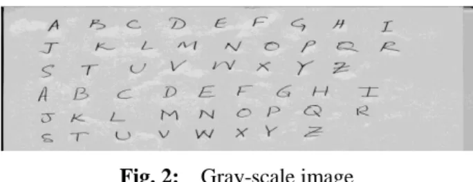 Fig. 2:    Gray-scale image 
