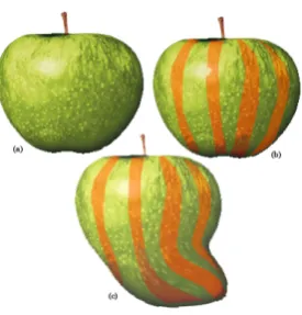 Figure 2.2: Three apple-like objects