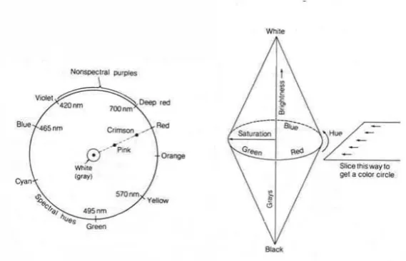 Figure 5.2: The 3D colour spindle.